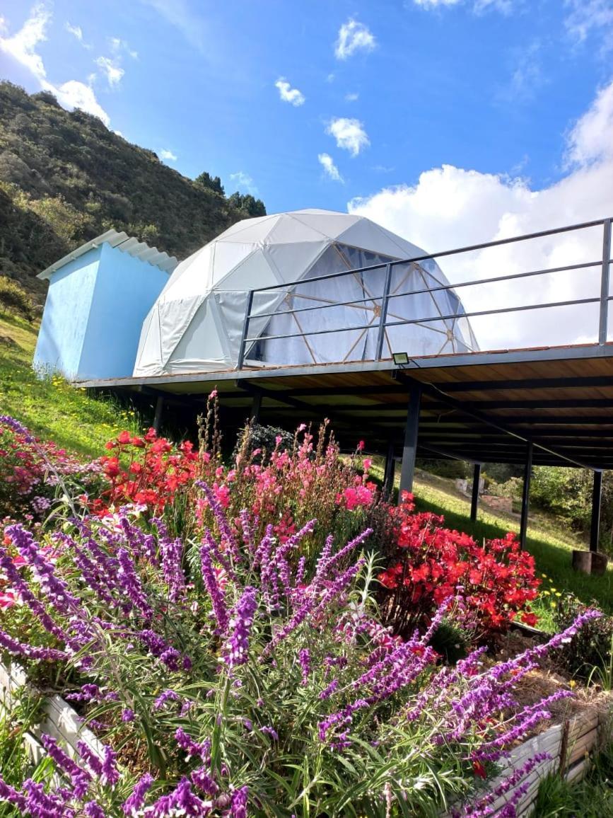 גוואטביטה Glamping Hermoso Amanecer מראה חיצוני תמונה
