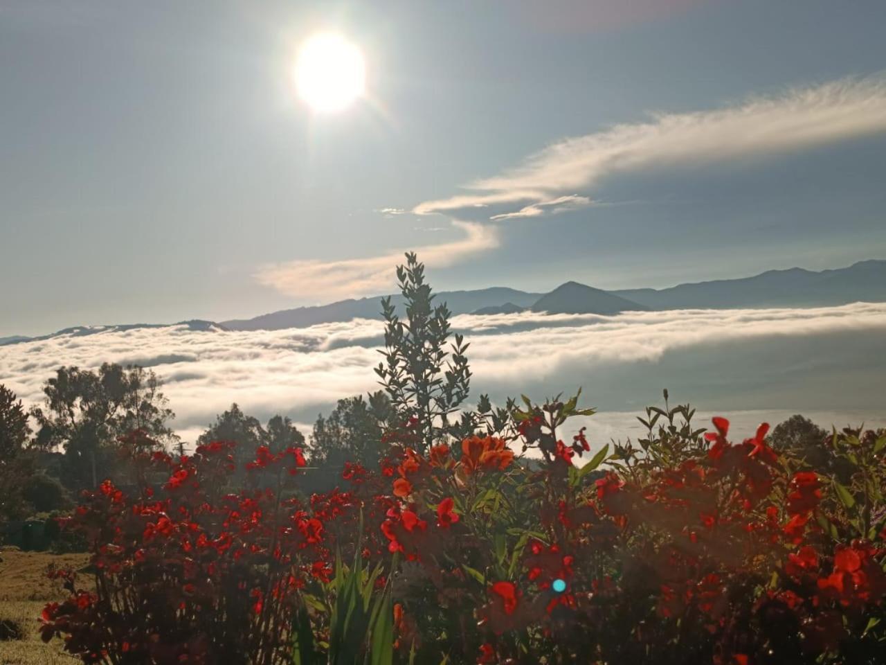 גוואטביטה Glamping Hermoso Amanecer מראה חיצוני תמונה