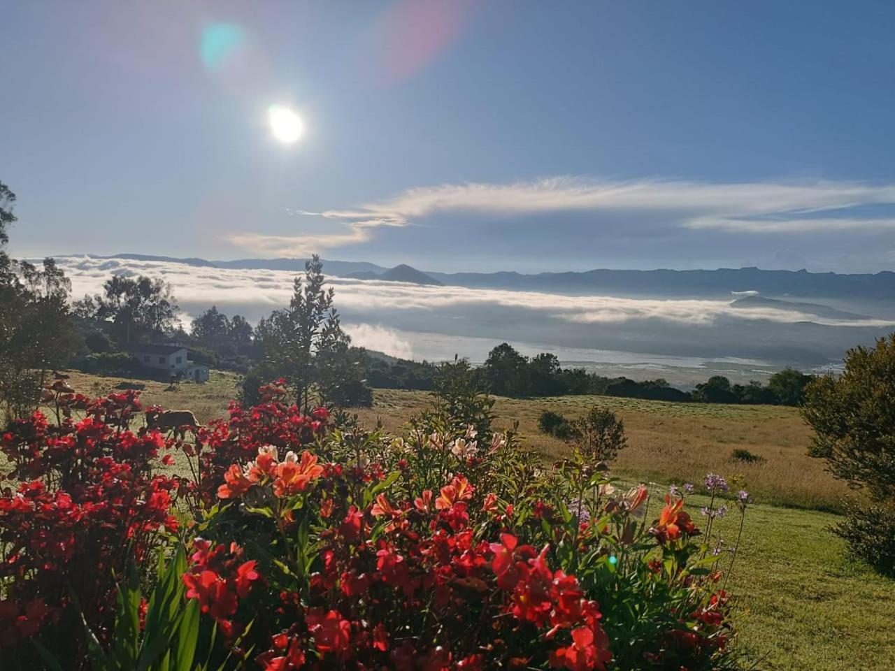 גוואטביטה Glamping Hermoso Amanecer מראה חיצוני תמונה